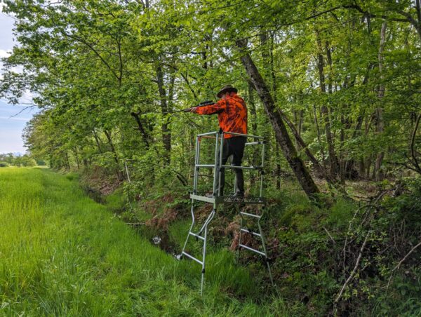 Mirador de chasse